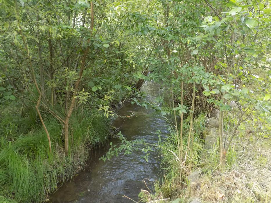 Casă de vanzare Sovata