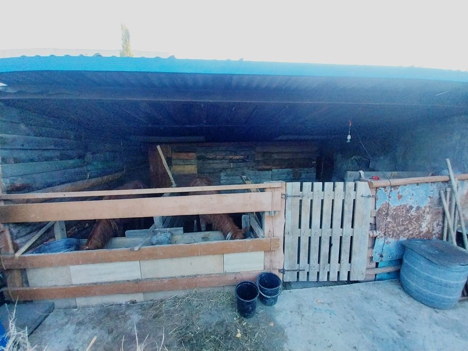 Продам частный дом Дачный мкр