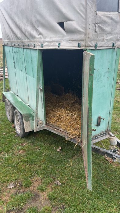 Vand remorca de un cal  530kg