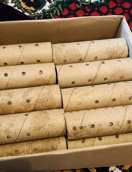 Термитті гарантия кетіреді