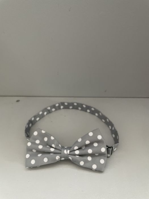 Vand papion diverse modele/culori