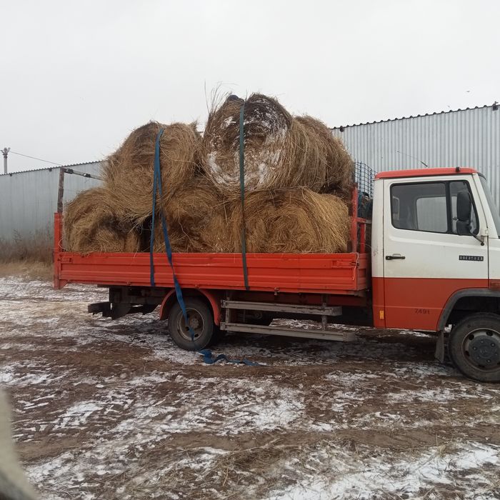 Сено житняк лютцерна зелёные рулоны