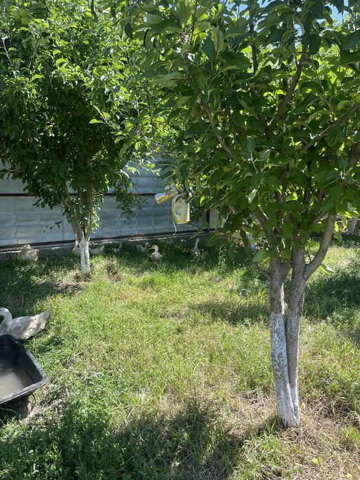 Продам  частный дом  район Рыбник