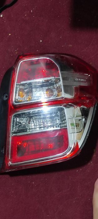 Cobolt orqa ong farasi