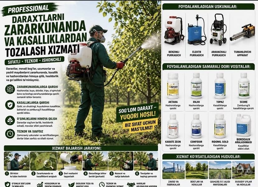 Daraxt kesish,  òt òrish, daraxtlarni dorilash va sepish xizmatlari.