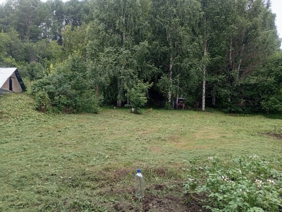 Дача с пасекой (за Тарханкой)