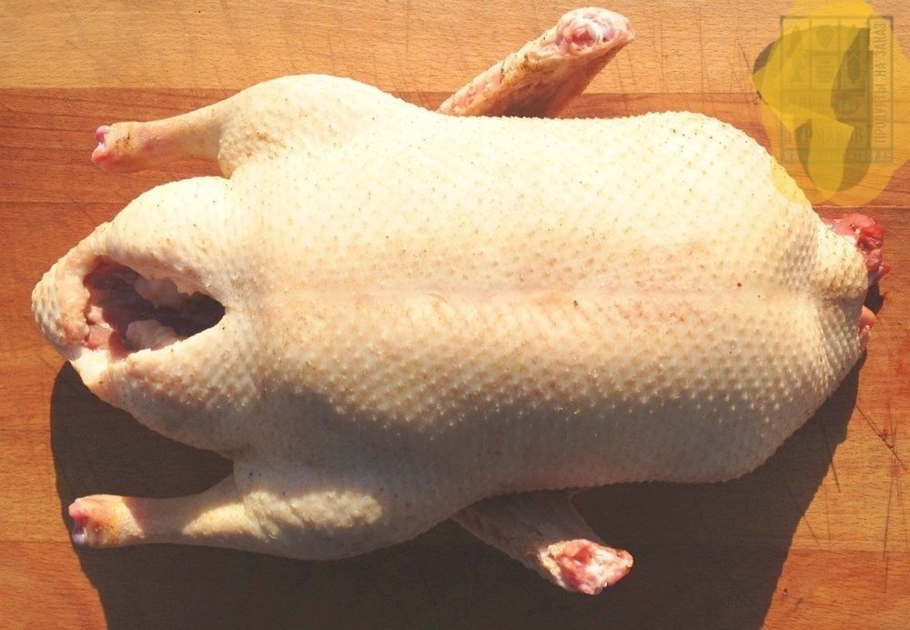 Қаз еті сатылады.