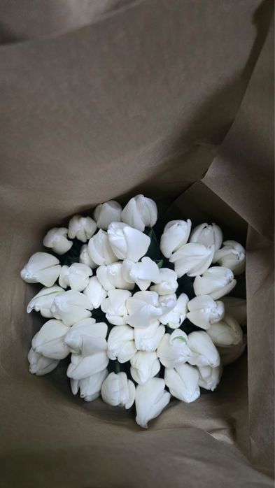 Тюльпан сорт гигант