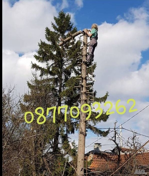 Редене на павета,плочки,бордюри и др