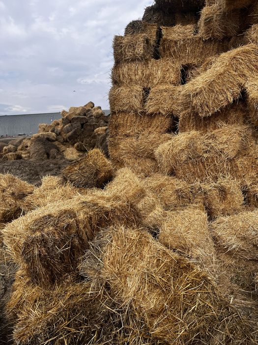 Тюки Саломы для скота