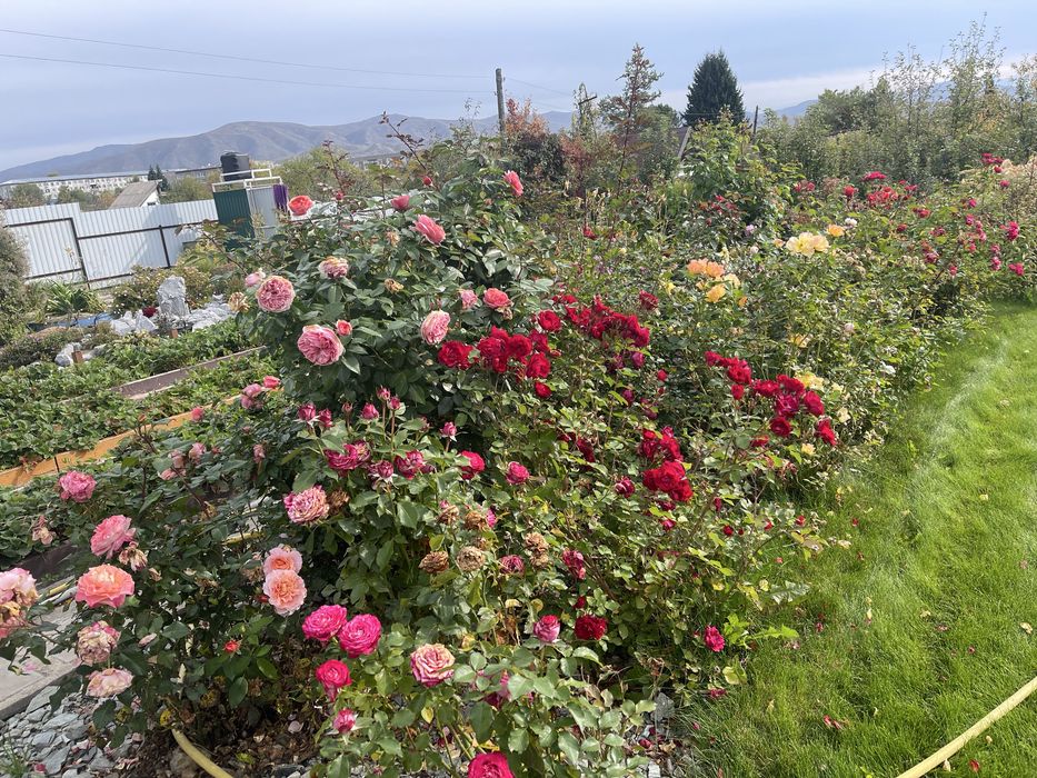 Продается  шикарная дача в Новой Бухтарме