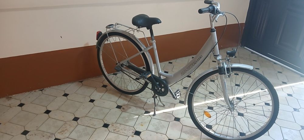 Modem: ALU-BIKE  Fischer