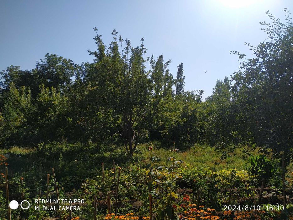 Ховли сотилади дача учун Зур жой