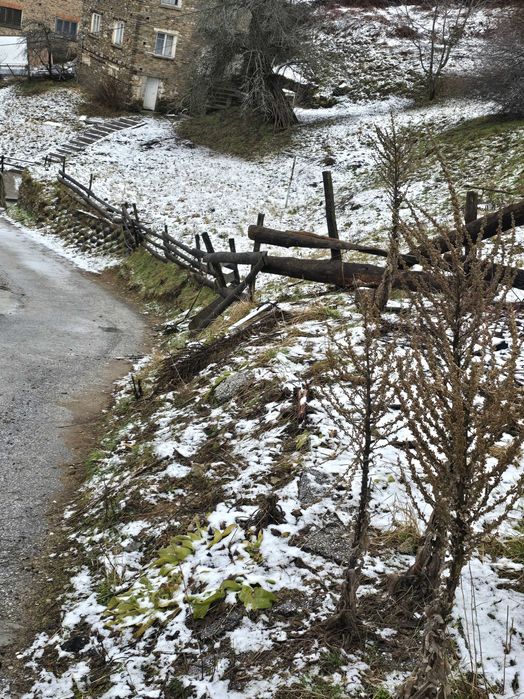 Продава се Парцел в к.к. Пампорово - 760 кв.м за 97 €/кв.м - Снимка #3