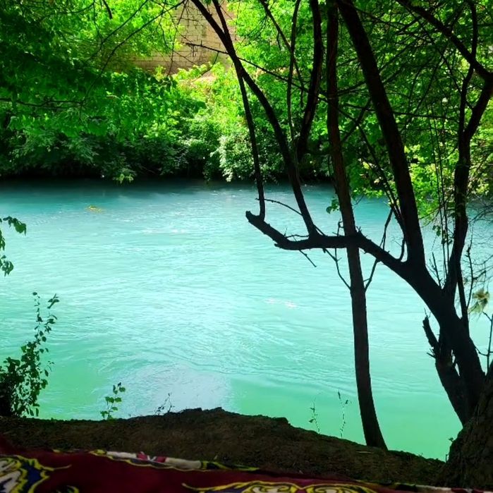 Срочно арзонга 15сотих сув буйида ховли