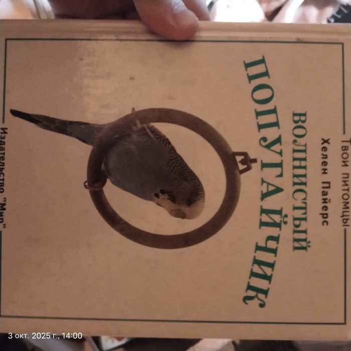 книги.книги.книги