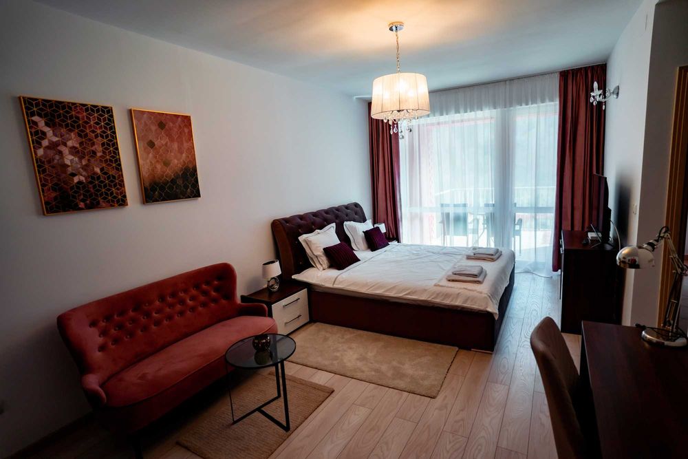 Garsoniera Sinaia Valea Prahovei  SPA