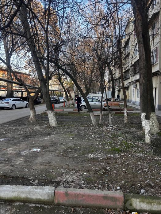 Новомосковская 15 кардиология 2в3