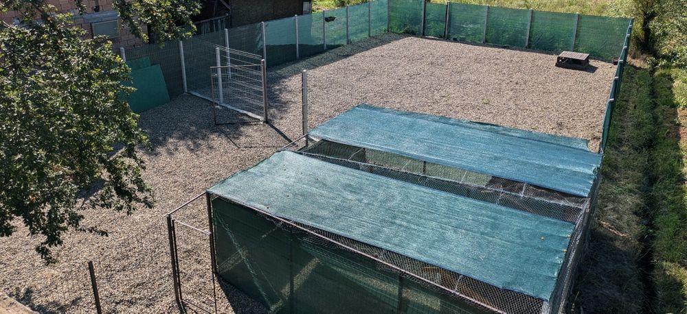 Cazare câini , pensiune canină