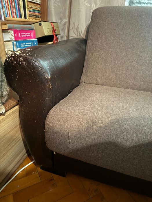 Canapea 3 locuri extensibilă