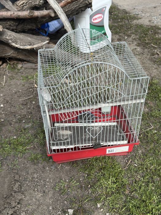 Клетки для хомяка или попугая