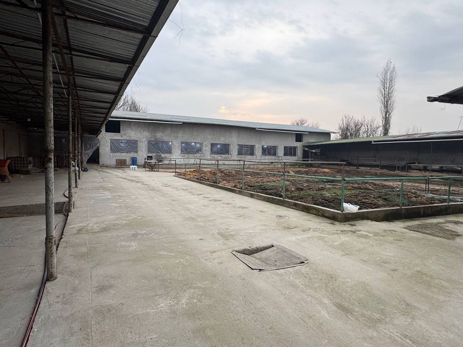 FERMA sotiladi Zangi ota