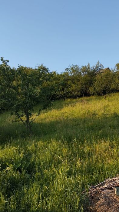 Teren de vânzare intravilan  Salcia judetul Prahova