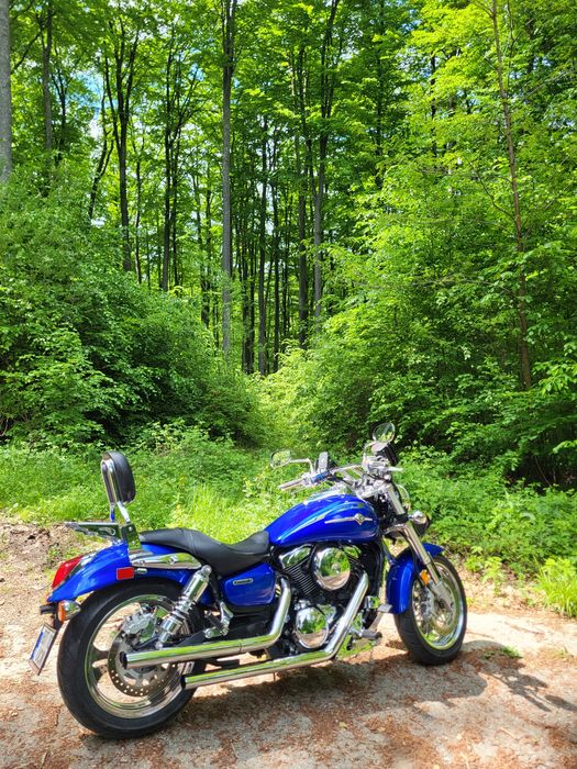 Vand Kawasaki Meanstreak 1600