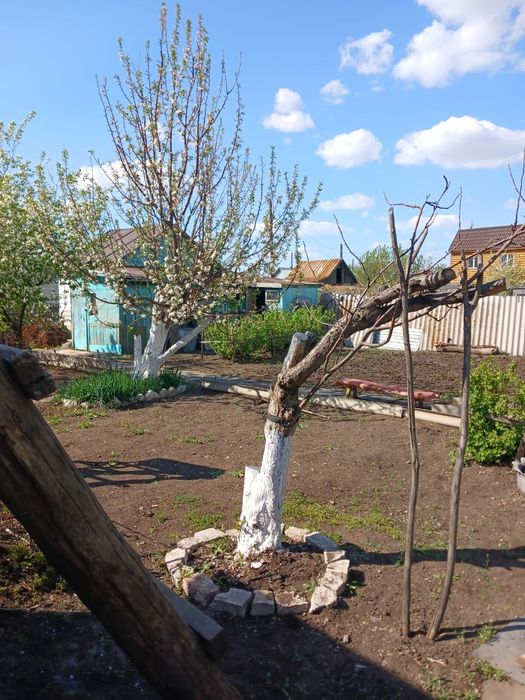 Домик на данном массиве