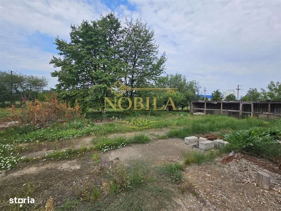 Teren De Vanzare Intravilan In Zona Industriala 10000 Mp Onesti