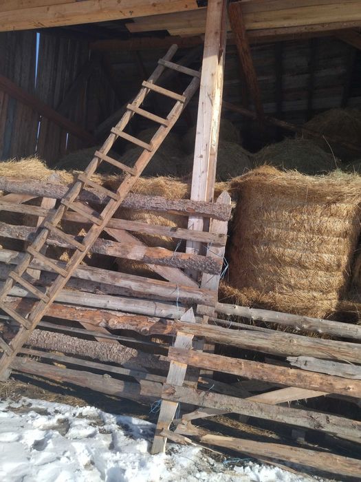 Baloți fân de grădină rotund 130x130