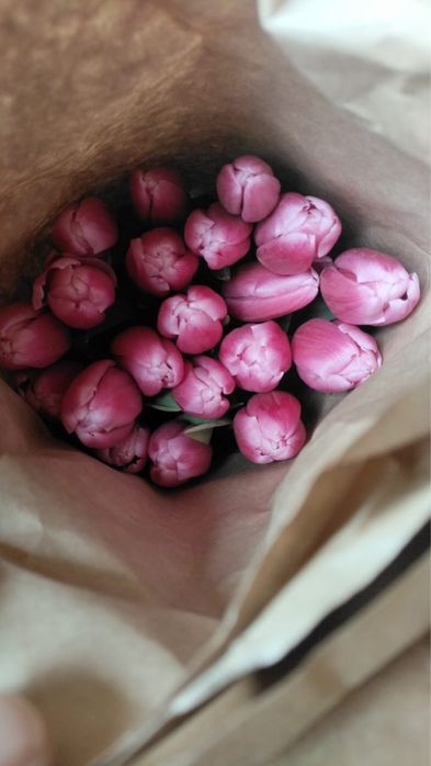 Тюльпаны ОПТОМ Розы Оптом