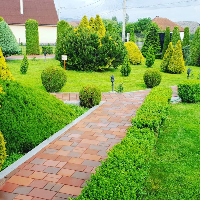 Casa Mera Toplita - Harghita