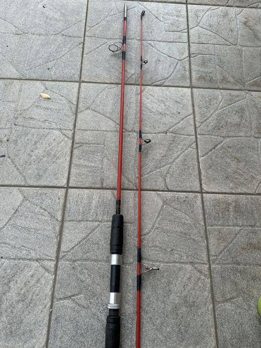 Germina lanseta germina varga cardinal undita