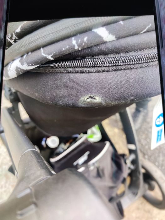 Vând căruț 2 in 1