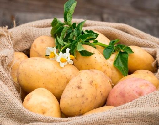 Продам дачный картофель