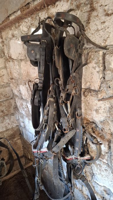 Vand o pereche de hamuri pentru ponei