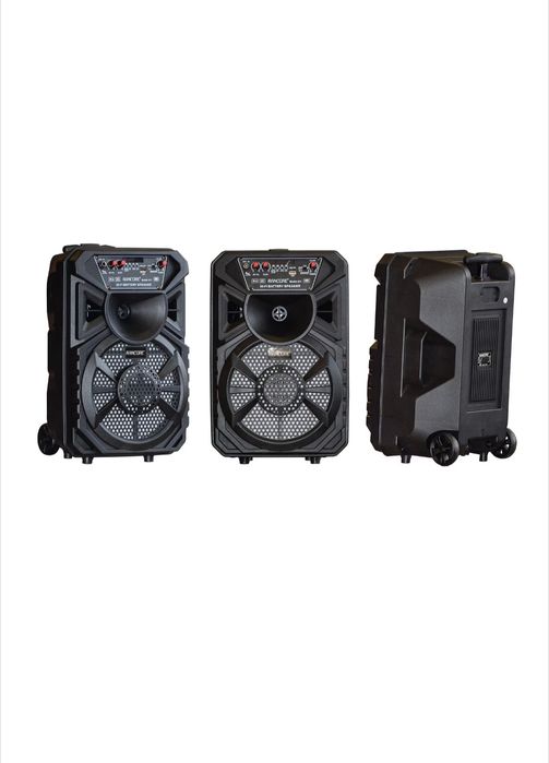 Активна тонколона Rancore X11