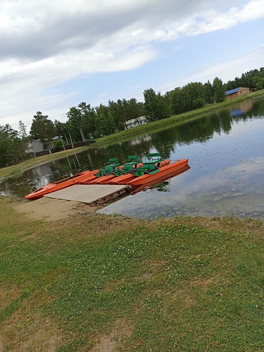 Коттедж в основном бору