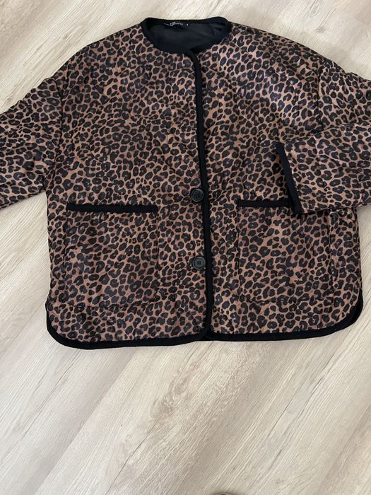 Модерно пролетно яке