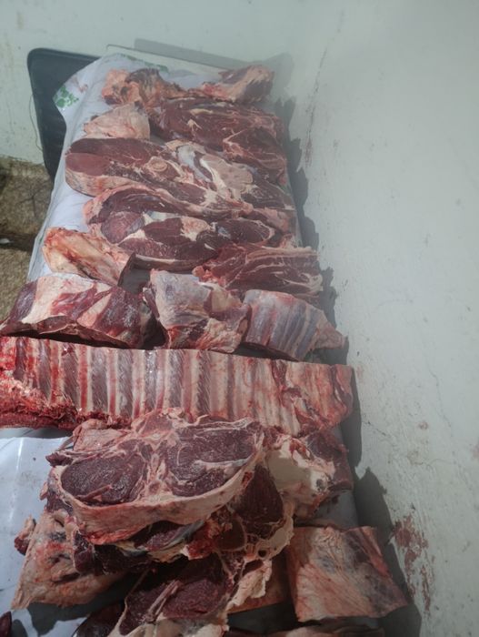 Бычки есть на продажу