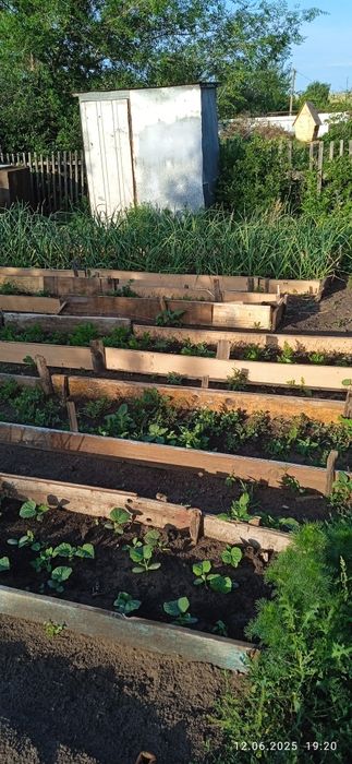 Продам дачу сады 1