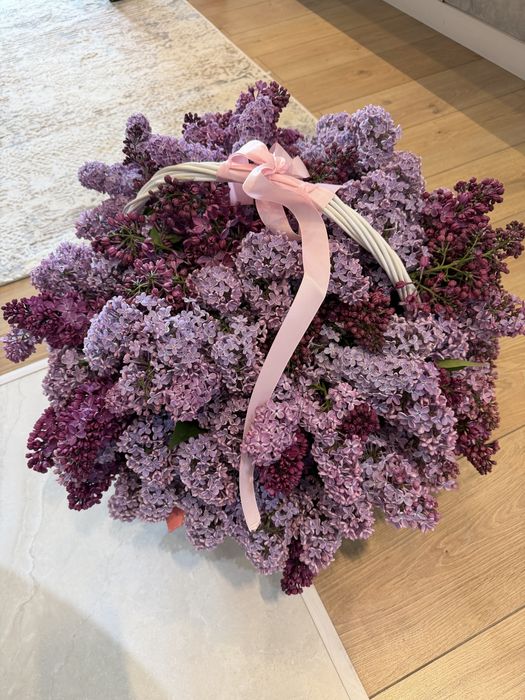 продам цветы алматы