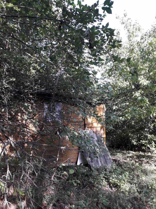 Продава се Земеделски имот в Враца, Вежен -  кв.м за 12750 €/дка - Снимка #8