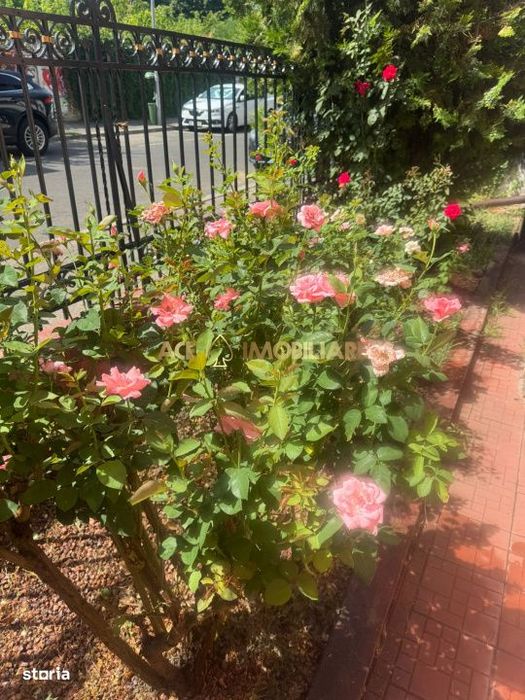 2 Camere de inchiriat | Cismigiu | Spatiu birouri | 62 mp