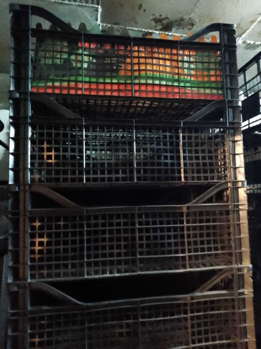 Кашони и касетки за плодове и зеленчуци