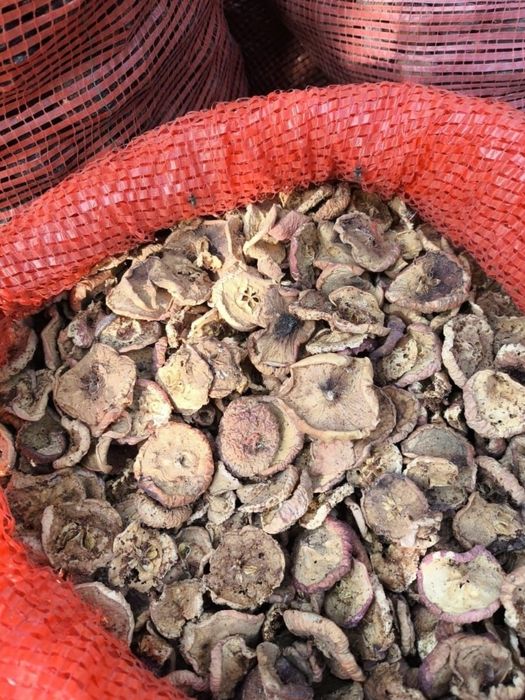 Сухофрукты курага, яблоко