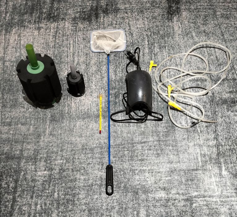 Домашний аквариум