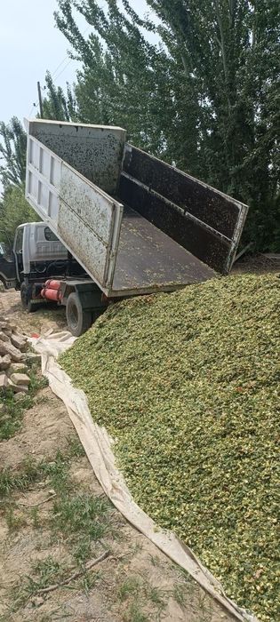 Исузу самасвал сотилади.