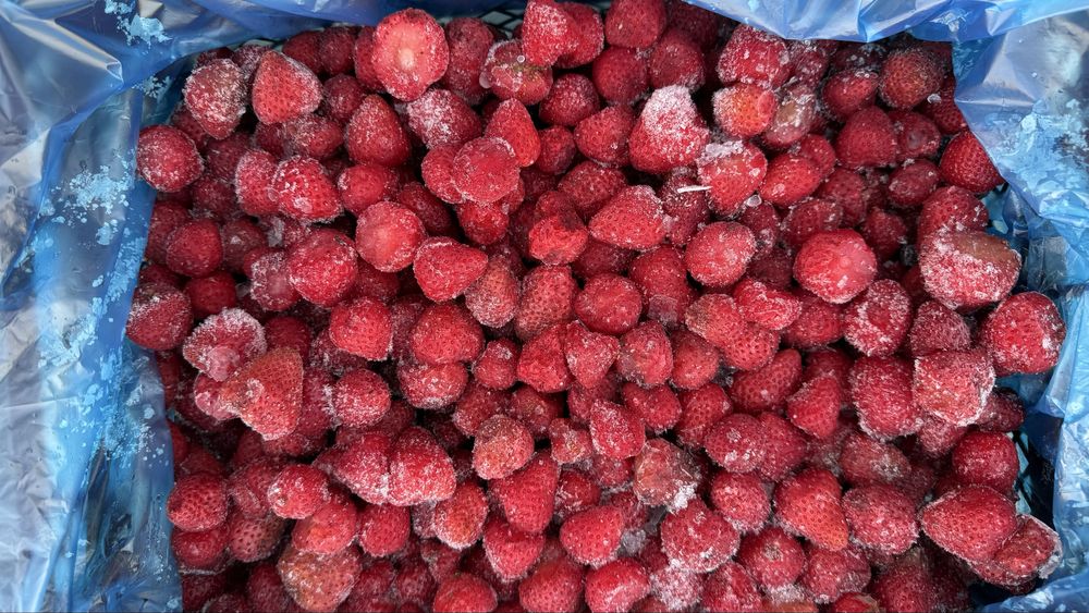 Замороженная клубника. Muzlatilgan qulupnay